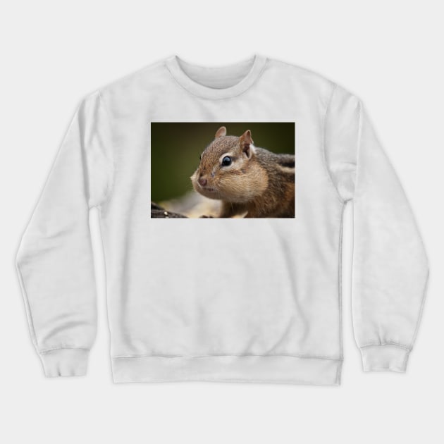 Chipmunk Crewneck Sweatshirt by jaydee1400